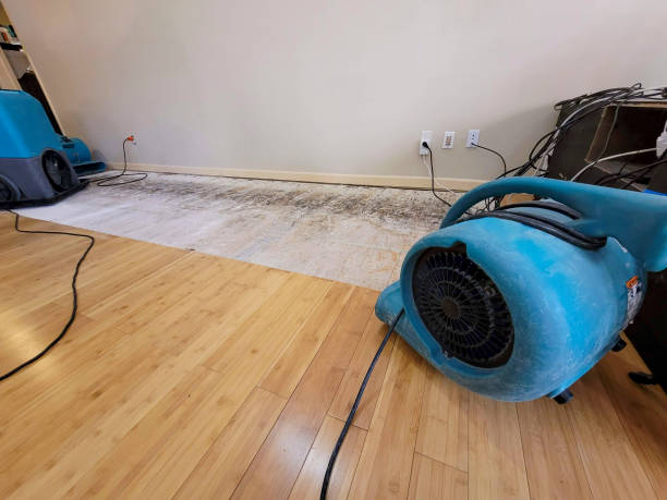 Professional Ceiling Water Damage Repair technician working in Fostoria, MI