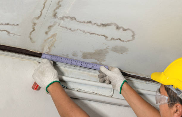 Affordable Ceiling Water Damage Repair solutions in Fostoria, MI